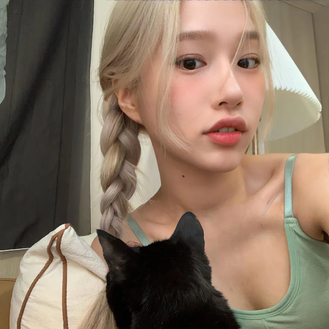 大笨蛋